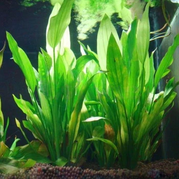 15cm Dirbtinė žolė Plastiko, Dirbtinio Vandens Augalų Žalia Žolė už Akvariumas